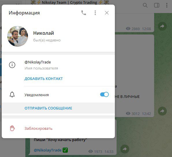 Nikolay Team Telegram