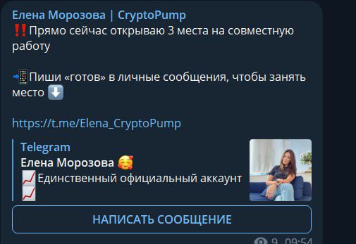 Елена Морозова Cryptopump поиск инвесторов