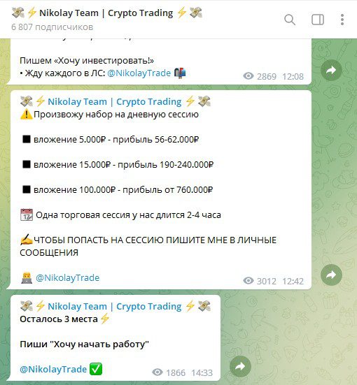 Nikolay Team Телеграмм канал
