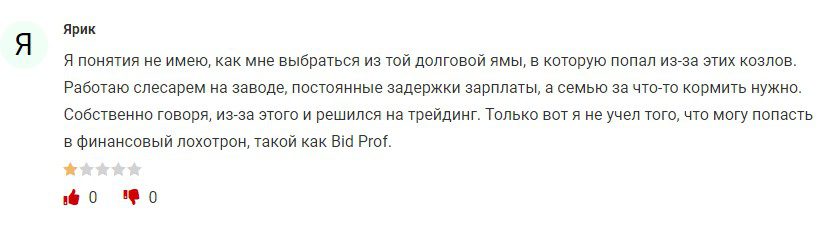 Bid Prof.com отзывы