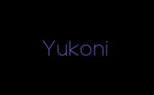 Yukoni Live брокер лого