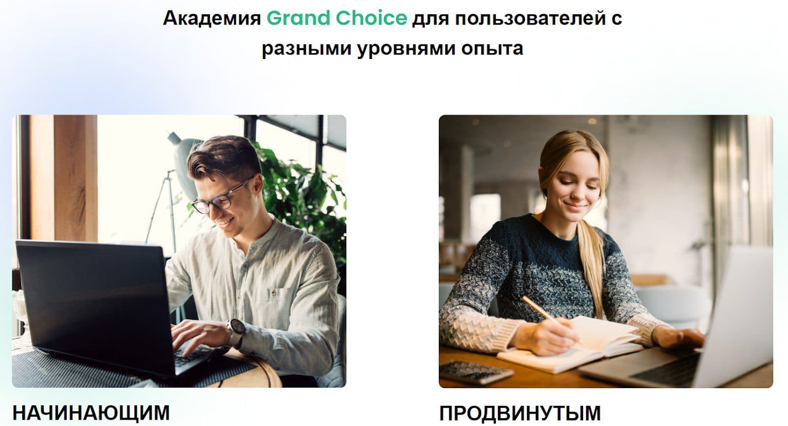 Grand Choice компания