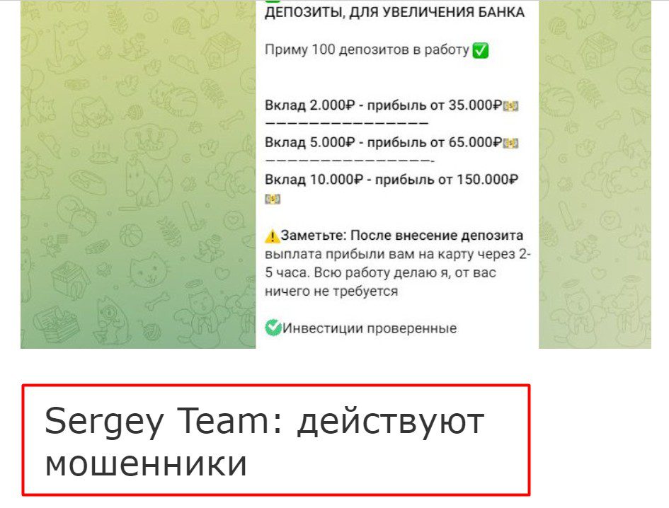 Sergey Team отзывы