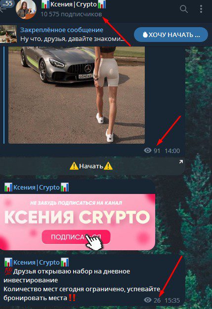 Crypto Ksusha телеграм