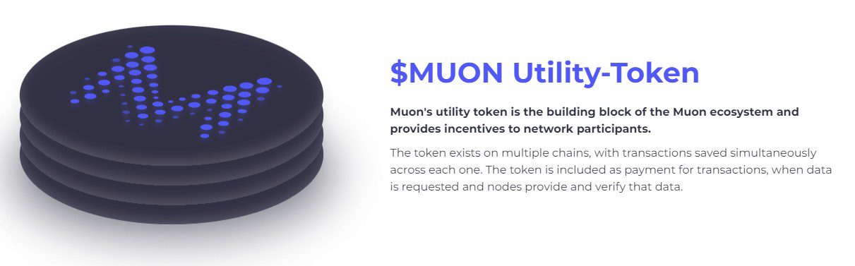 Muon network платформа