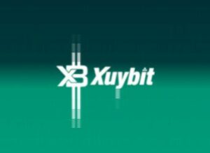 Проект Xuybit