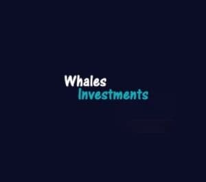 Whales Investments компания