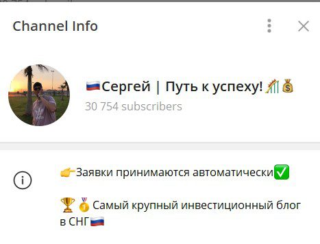 Сергей Путь к успеху обзор канала