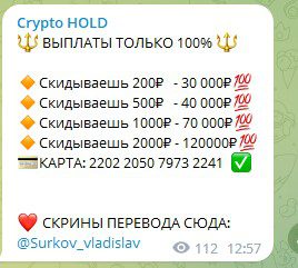 Crypto HOLD условия инвестирования с Surko Vladislav