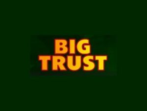 Проект Big Trust top