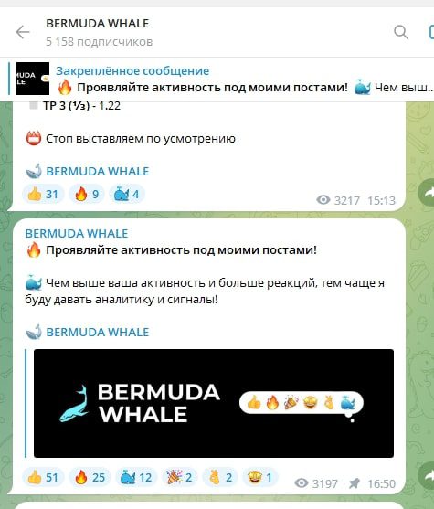 Bermuda Whale телеграмм