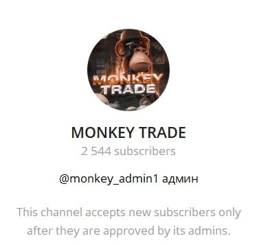 Monkey Trade телеграмм
