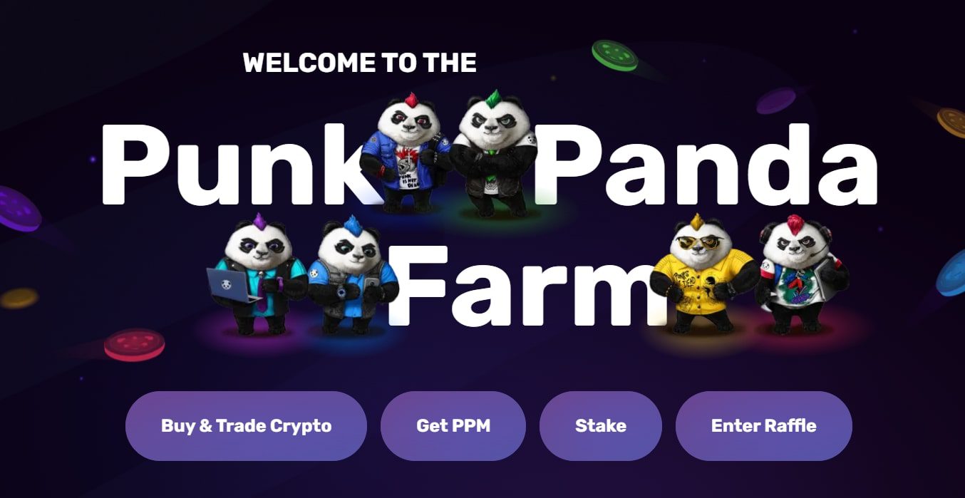 Punk Panda сайт