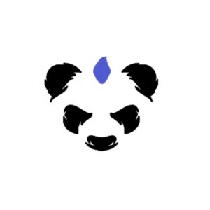 Punk Panda