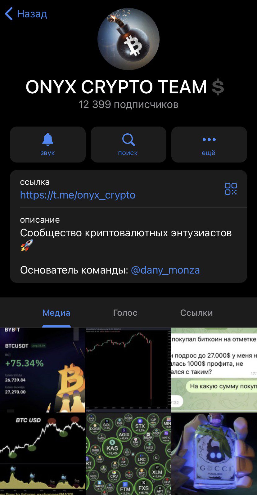 Телеграм Onyx Crypto Team