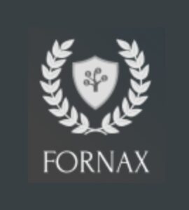 Проект Fornax capital