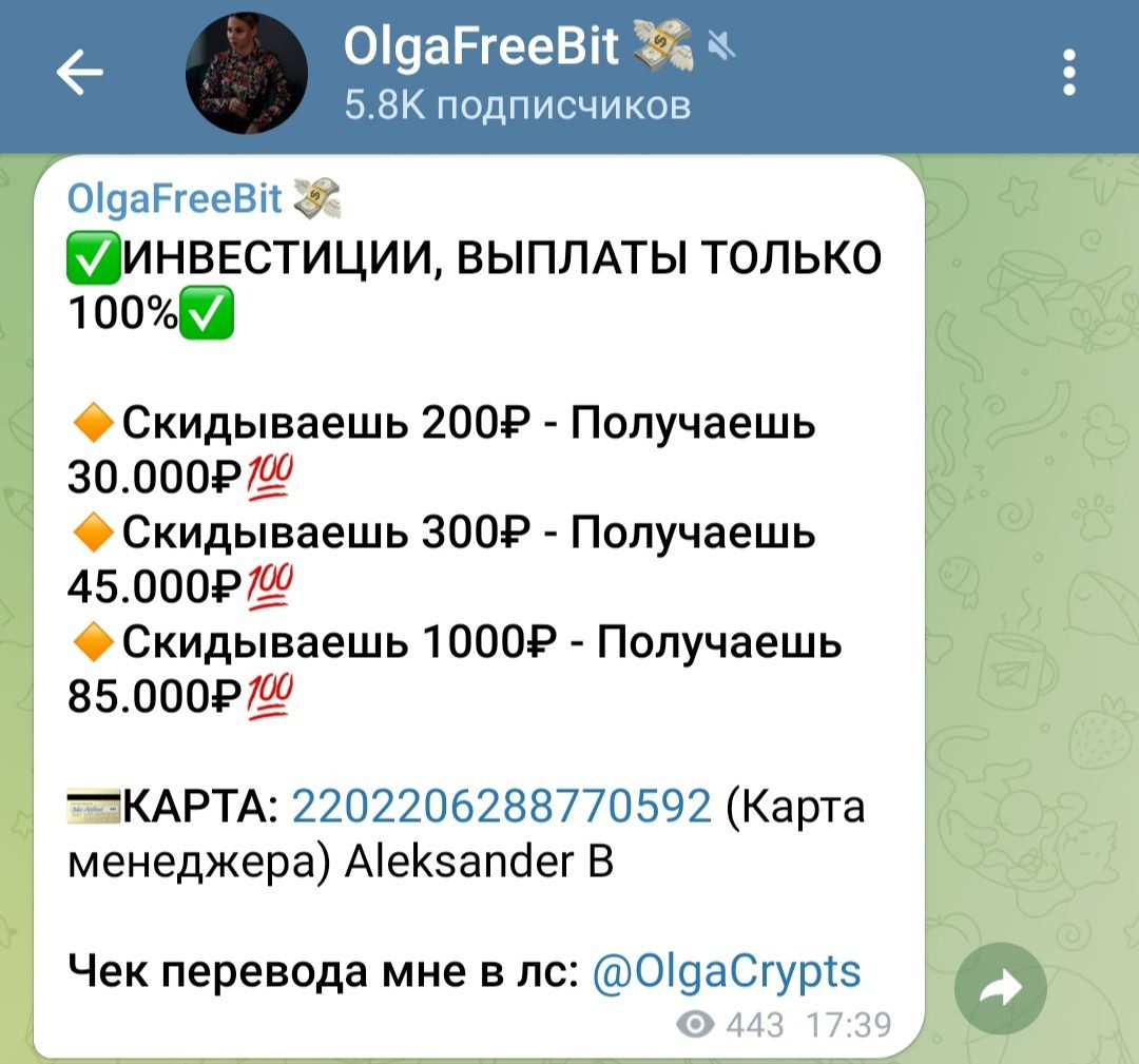 Условия инвестирования с OlgaFreeBit