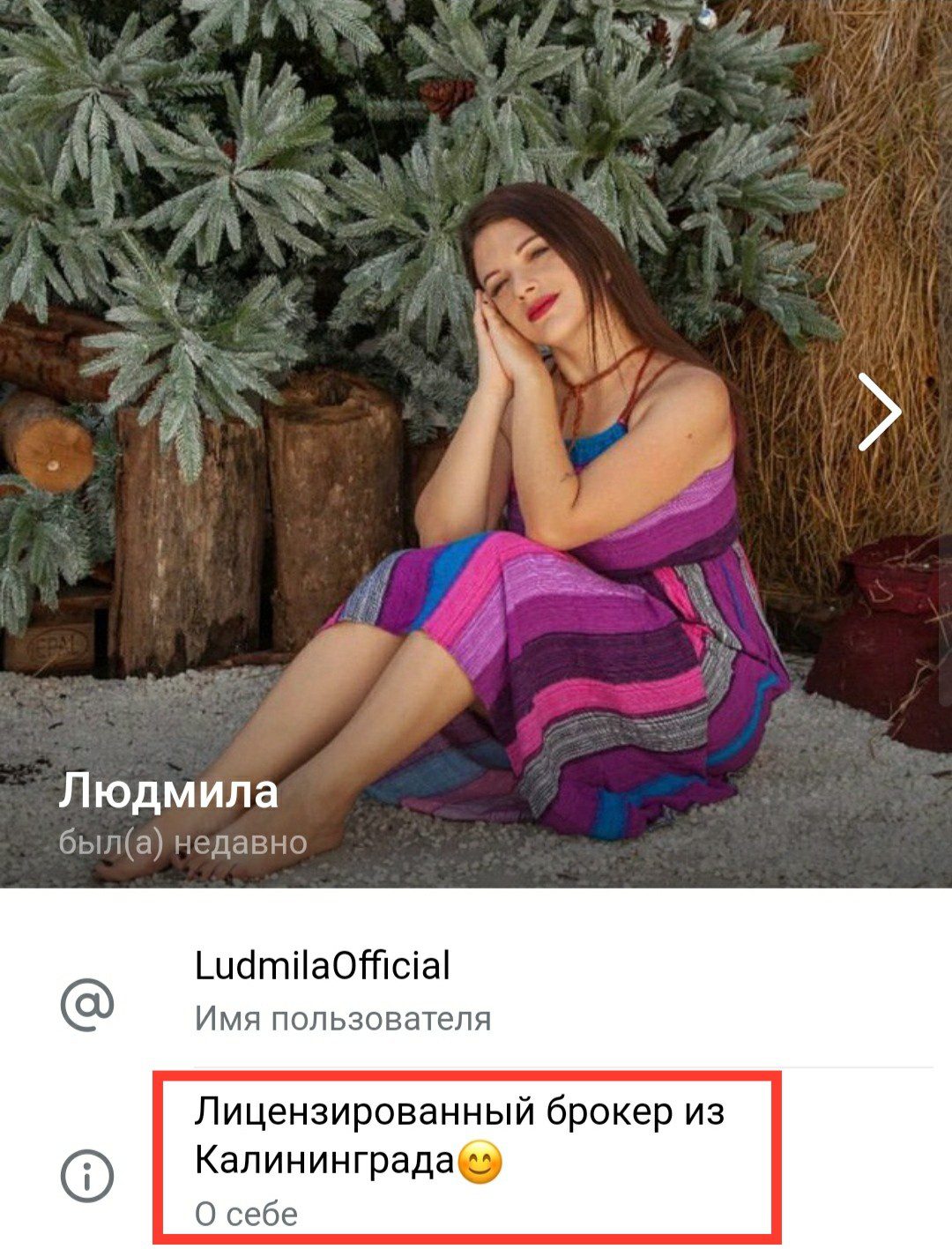 Телеграм Ludmila Official