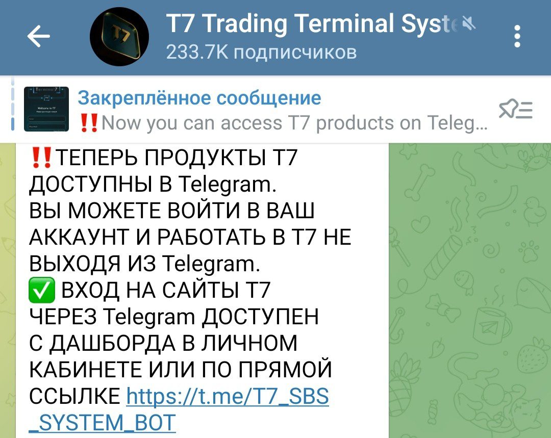 terminal7 обзор компании