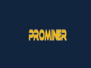 Проект Prominer