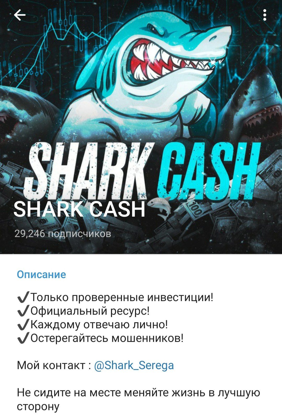 Телеграм канал Shark Cash обзор