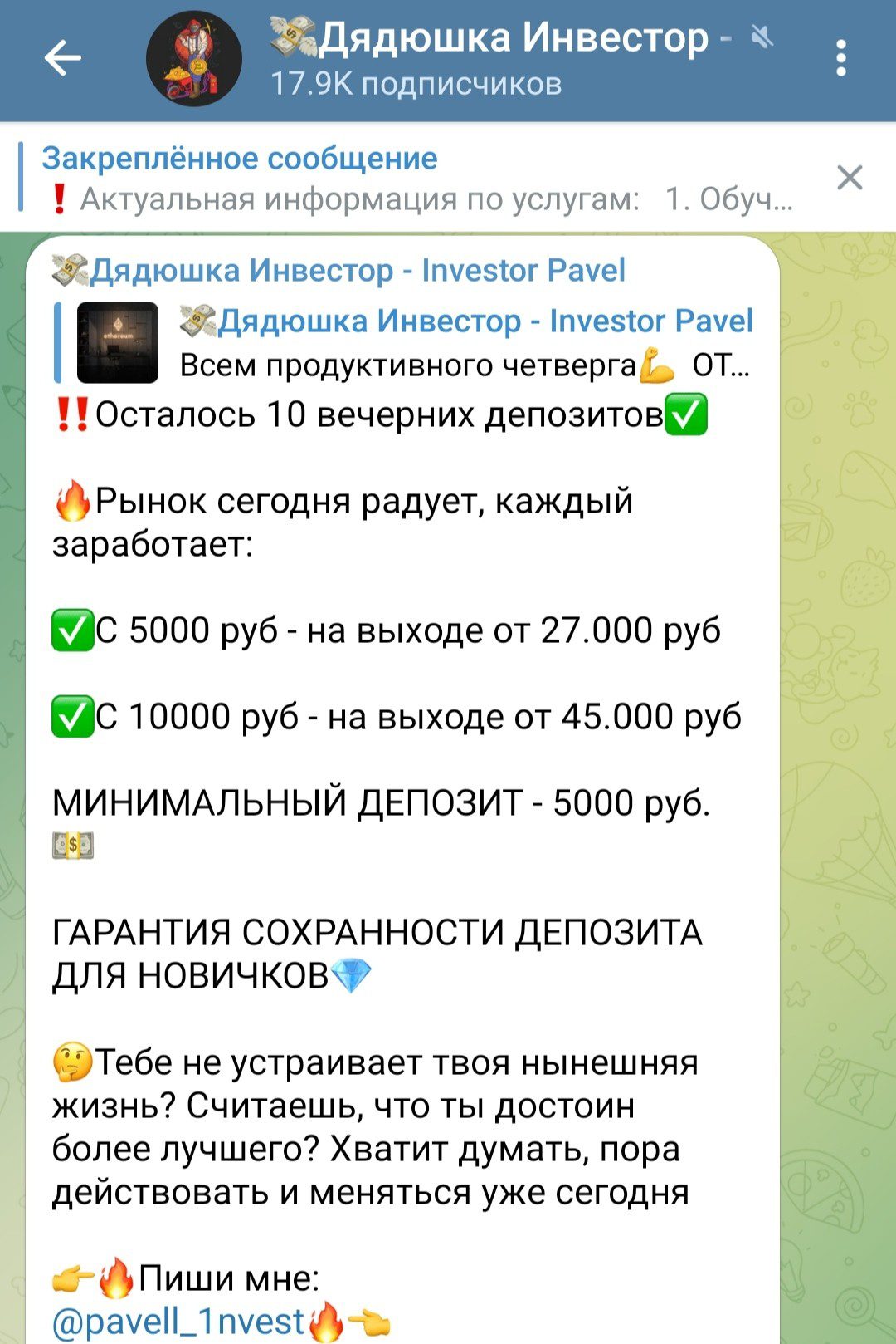 Investor Pavel обзор