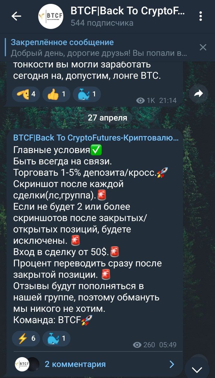 BTCF телеграмм