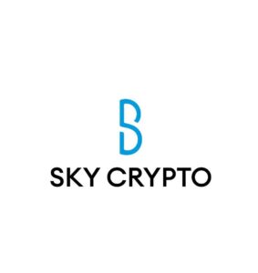 skycrypto обменник