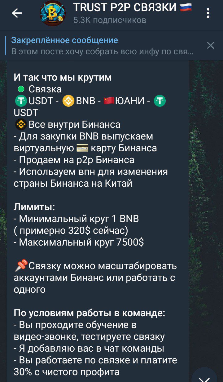 Дмитрий Рубинов телеграм