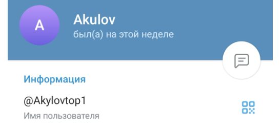 Akylovtop Телеграмм