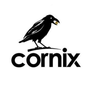 Cornix проект