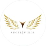 Angel Wings инвестиции