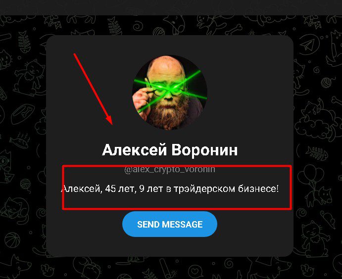 Телеграмм канал Алексея Воронина