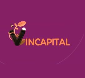 VinCapital обзор проекта