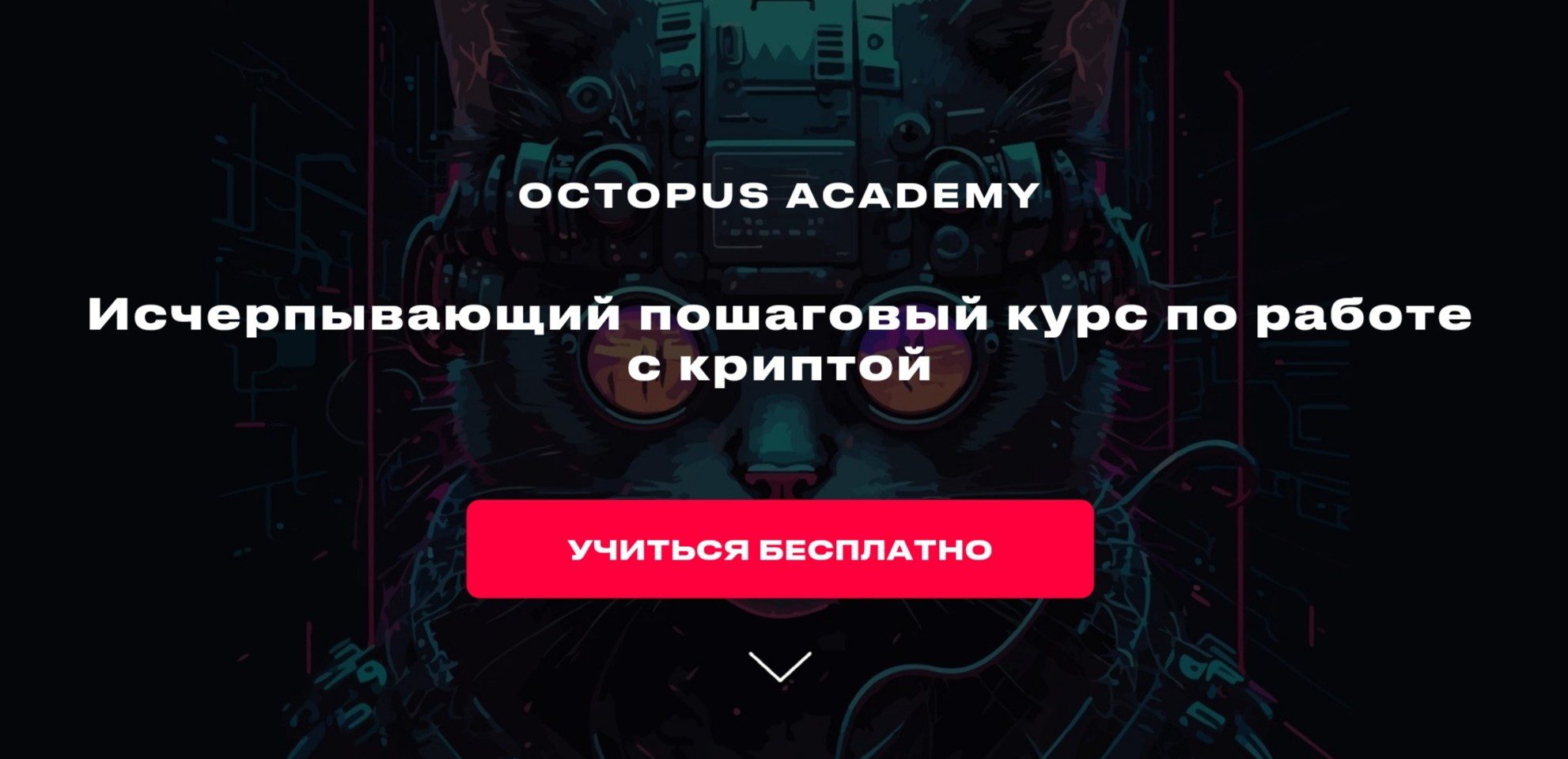 octopusacademy ru обзор сайта