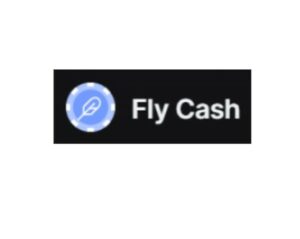 Flycash лого