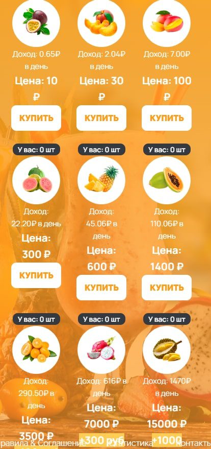 Fruitlavka активы