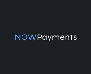 Nowpayments проект