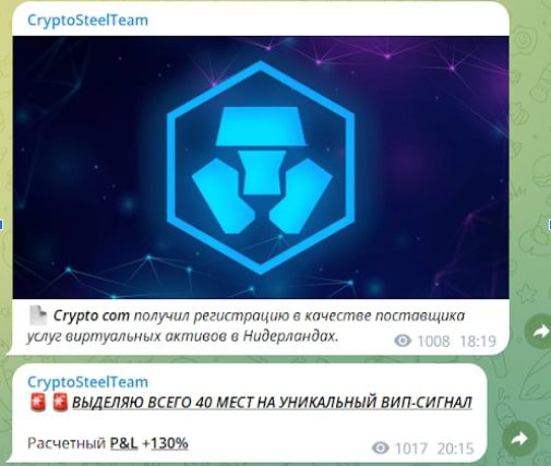 Crypto Steel Team телеграмм