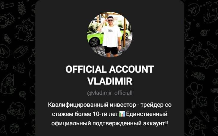 Vladimir путь к успеху канал