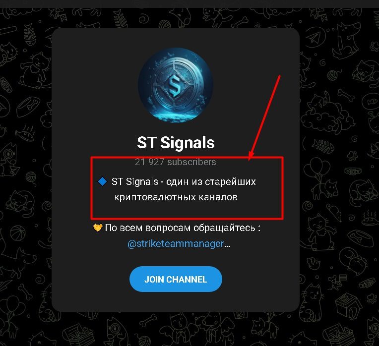 st signals группа