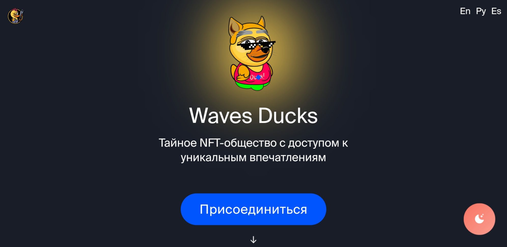 Waves Ducks сайт