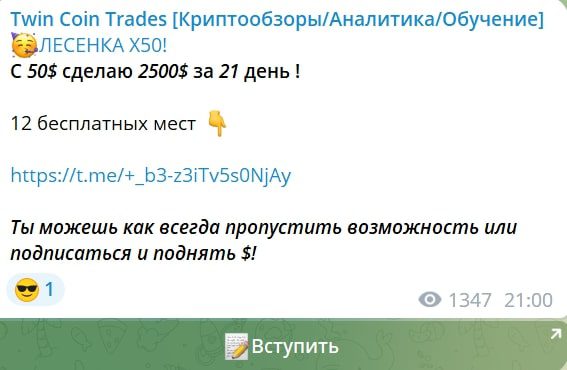 Twin Coin Trades заработок