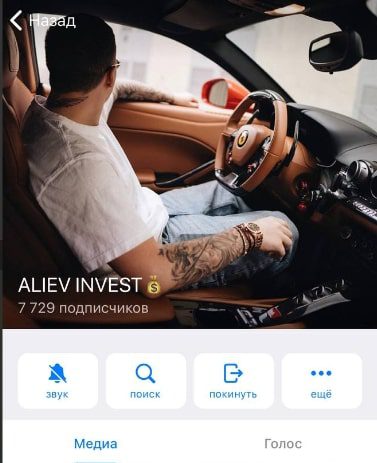 Aliev Invest канал