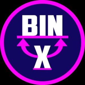 Bin X лого