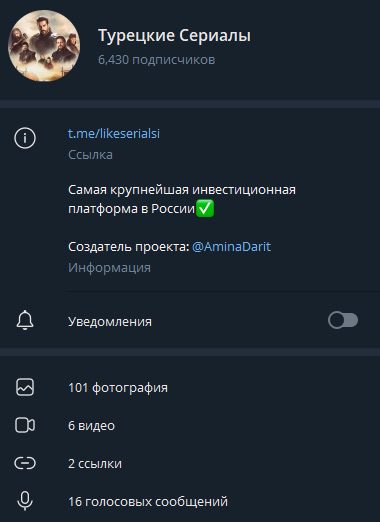 Телеграм-канал Амина Закирова