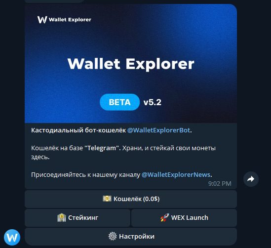 Бот Wallet Explorer