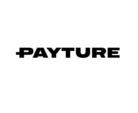 Payture лого