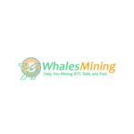 Whales mining