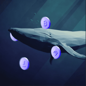 Whale Friend